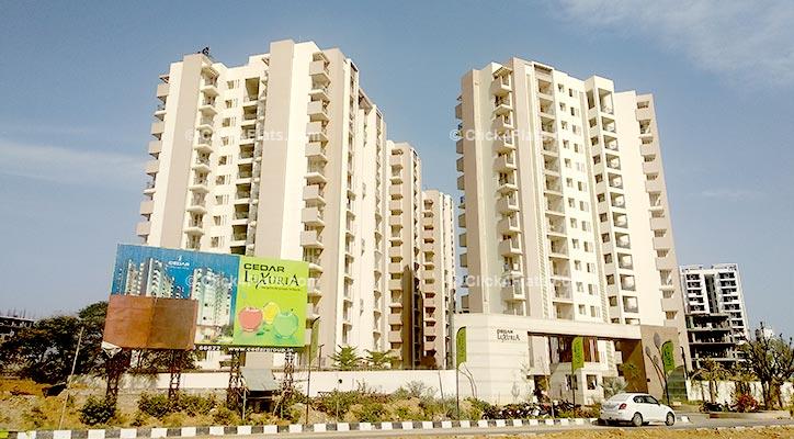 Cedar Luxuria Patrakar Colony