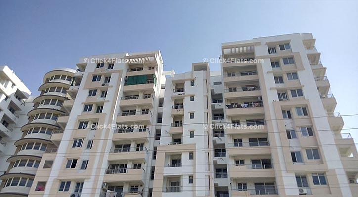 Buy Courtyard