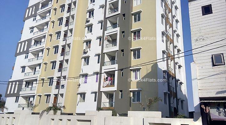 Festiva 2 BHK Flats