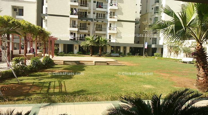 Buy Ashadeep Green Avenue