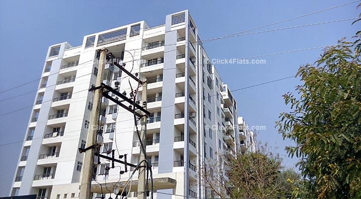 Royale Platinum Flats for Sale