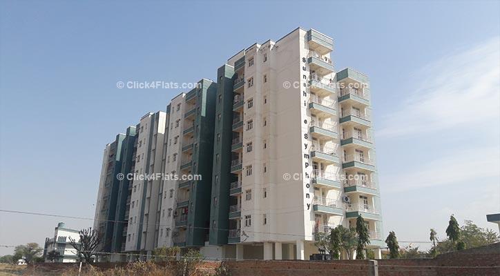 Buy Sunshine Symphony Jaipur